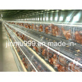 a Type Automatic Poultry Farm Equipment Layer Chicken Cage